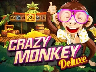 Crazy Monkey Deluxe game thumbnail