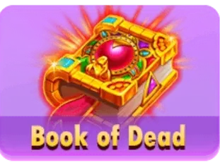 Book Of Dead game thumbnail
